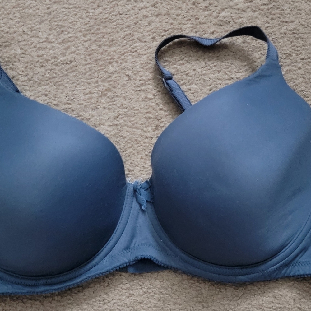 EUC Gilligan and O'Malley  38D Bra
